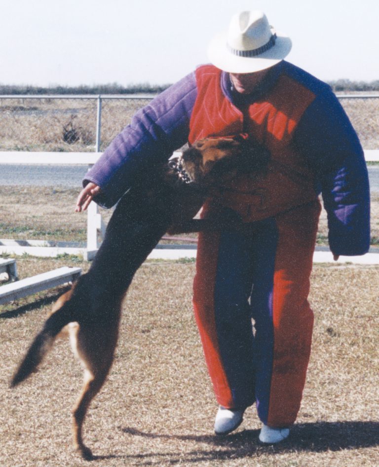 A person in protective gear is interacting with a leaping dog outdoors.