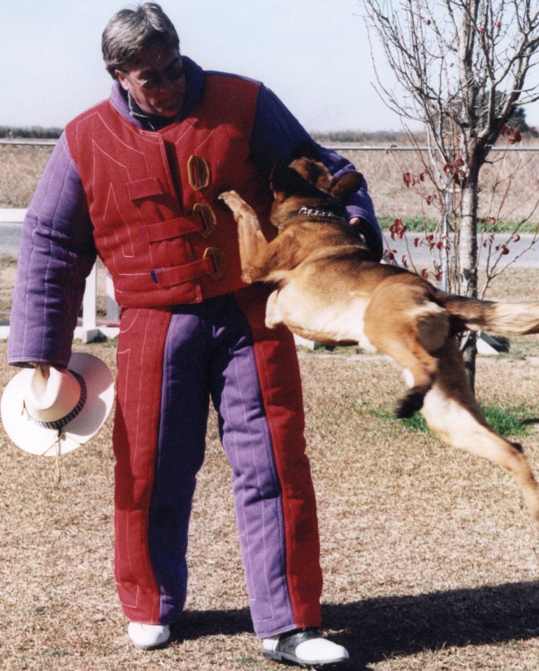 Person in red protective suit interacts with a jumping dog in a grassy area.