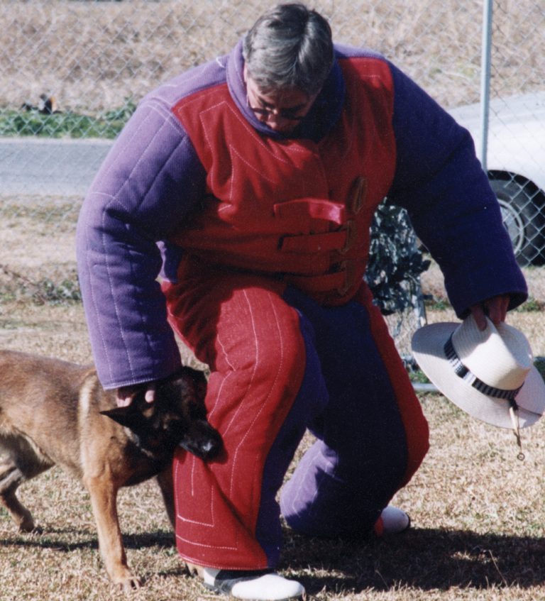 Person in a protective suit holding a hat while a dog bites the suit during a training exercise outdoors.
