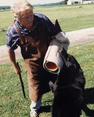 A man in an apron holds a sleeve while a black dog bites it during a training session on a grassy field.