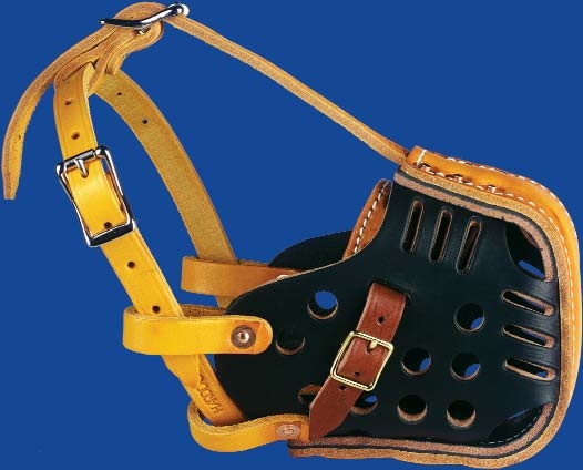 Leather dog muzzle with multiple straps and ventilation holes, displayed against a blue background.