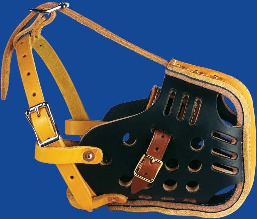 Leather and plastic dog muzzle with adjustable straps on a blue background.